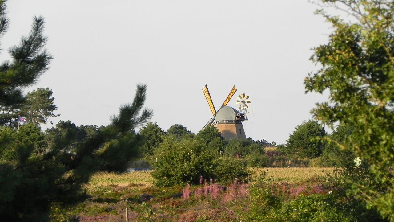 Landschaft Landschaft